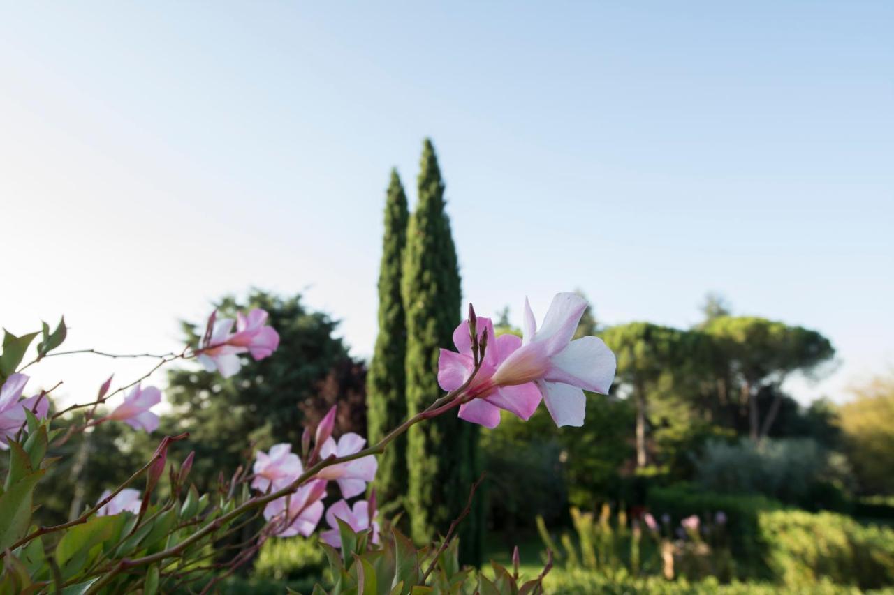 Borgo Villa Risi Сиена Экстерьер фото